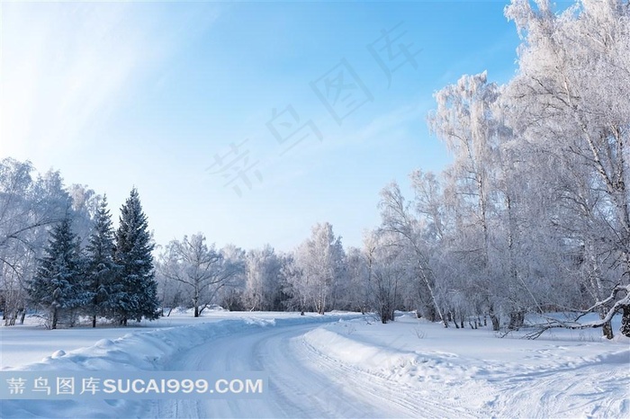 寒冷冬天雪景摄影