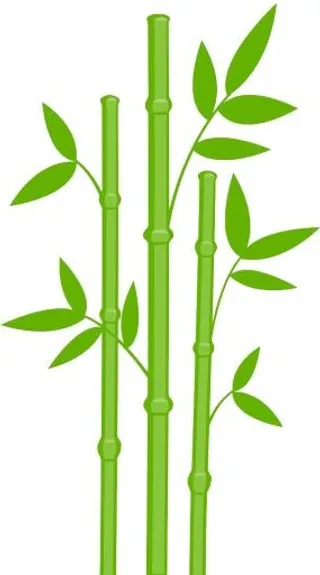竹子 PNG免抠