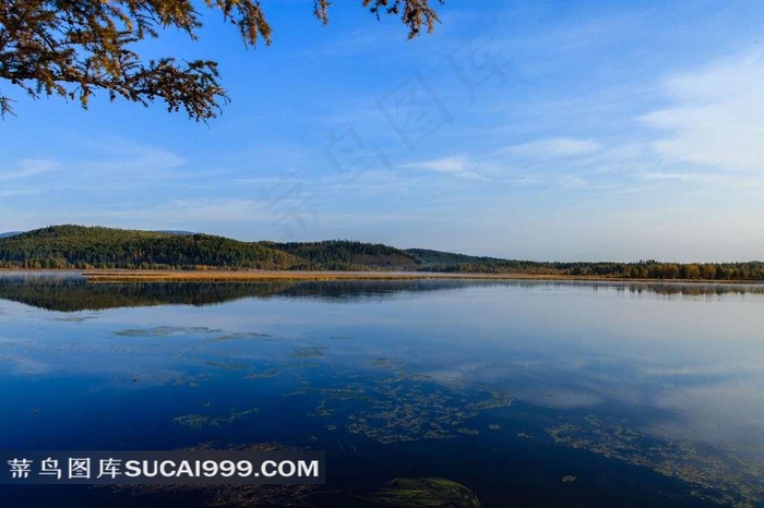 内蒙古阿尔山杜鹃湖风景图片