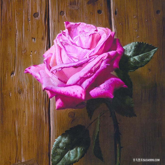 唯美花束木板油画