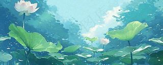 夏天湖面落叶荷花荷叶水面仰视，夏至小暑大暑