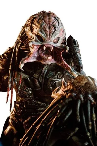 捕食者 PNG免抠(800x1199)