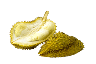 榴莲 (11)水果超市商品白底图免抠实物摄影png格式图片透明底