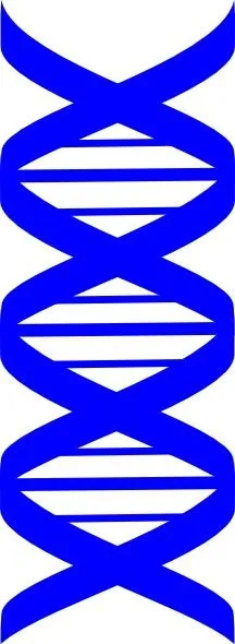 DNA免抠(216x590)