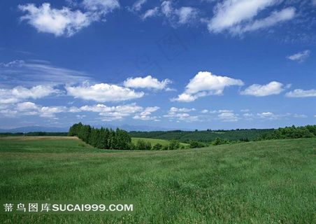 陆地旷野树和草地 陆地旷野树和草地