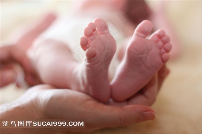 双手捧着婴儿的小脚高清图片