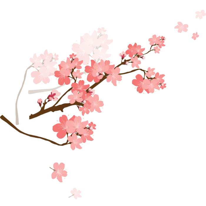 春天浪漫粉红色樱花手绘樱花梅花桃花花朵图片PNG免扣素材