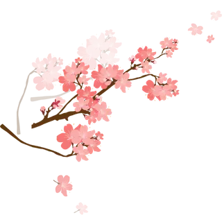 春天浪漫粉红色樱花手绘樱花梅花桃花花朵图片PNG免扣素材