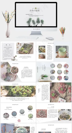 小清新多肉植物毕业设计答辩PPT模板预览图
