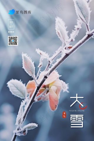 大雪冰冷枝叶美景冬天节气海报