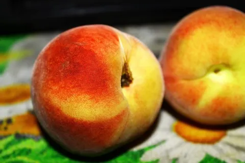 新鲜桃子特写图片 新鲜桃子特写图片