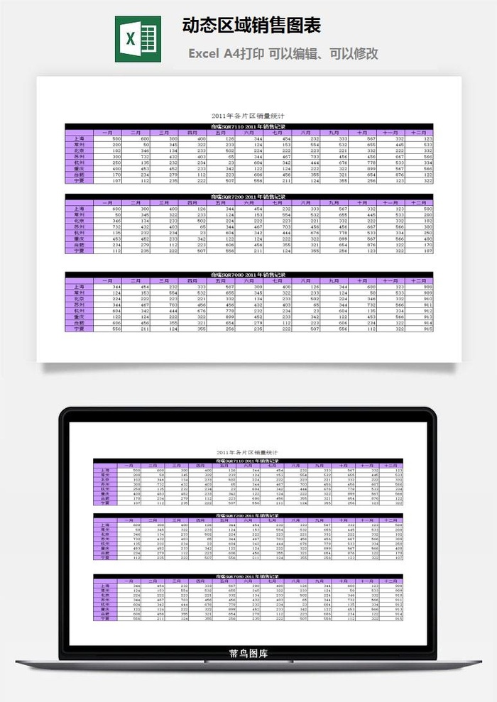 动态区域销售图表excel模板