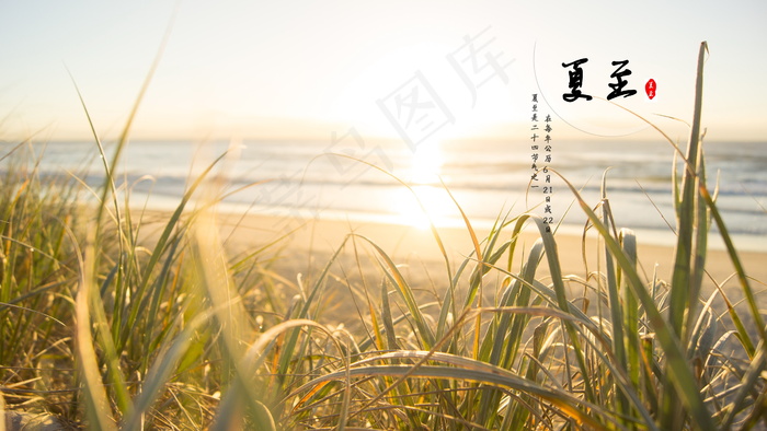 24节气之夏至图片