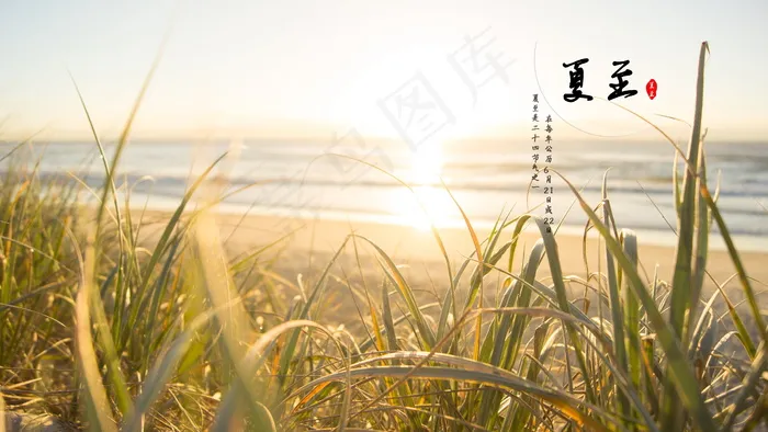 24节气之夏至图片