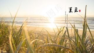 24节气之夏至图片