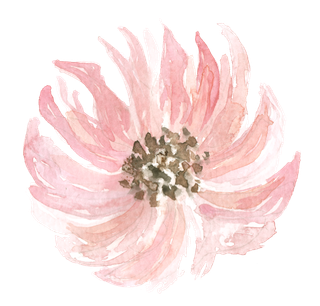 唯美森系手绘水彩花朵 免抠