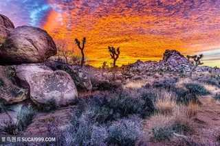 唯美彩霞风光图片