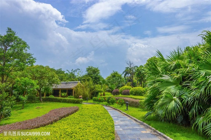 贵港园景观风景风光