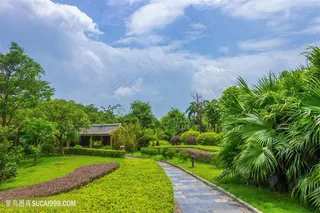 贵港园景观风景风光