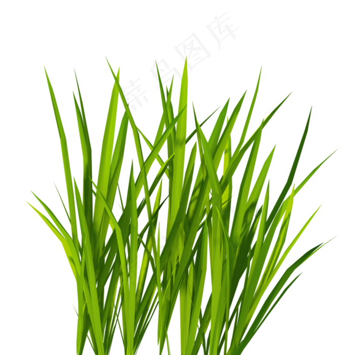 草地免扣png 