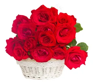 满篮红玫瑰鲜花图片