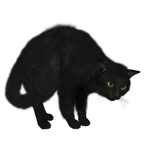 黑猫 PNG免抠