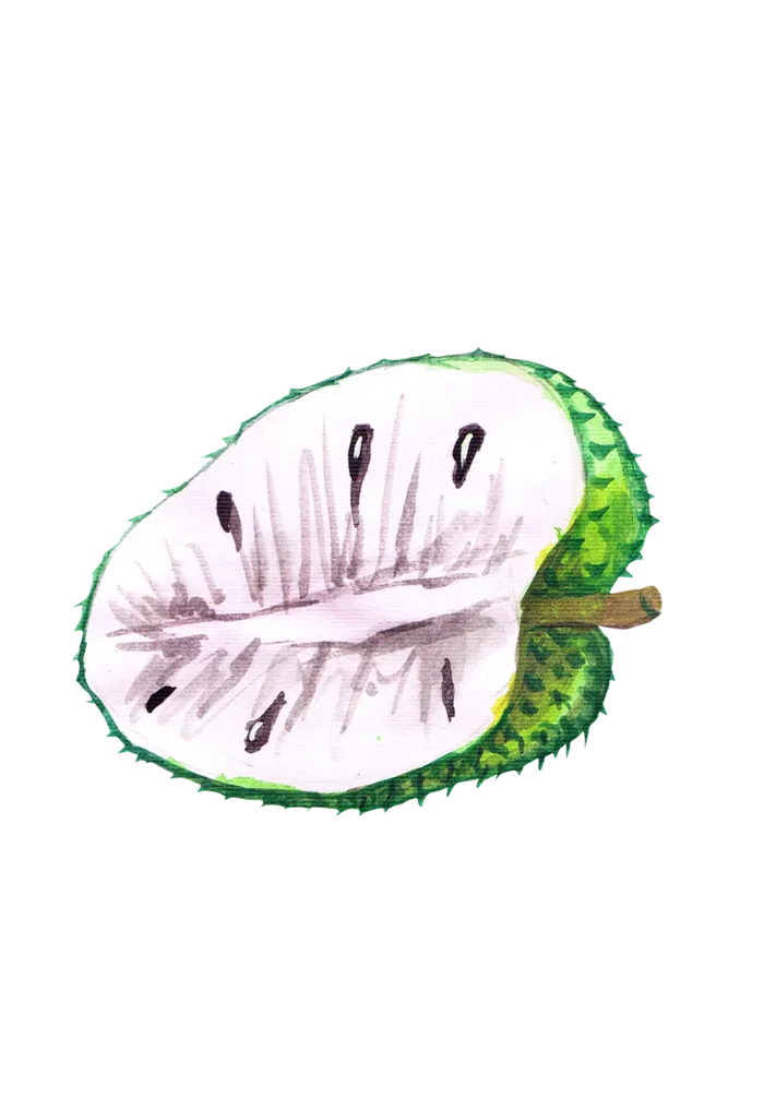 水果水彩画水果免扣素材