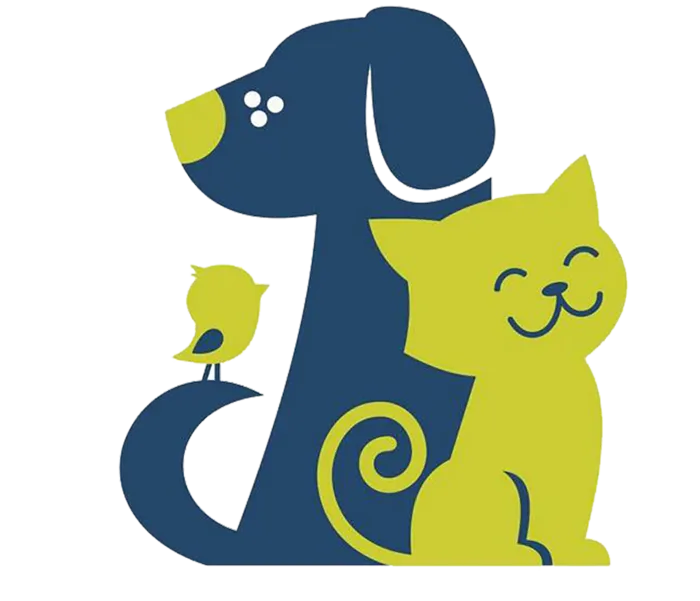 小猫与小狗