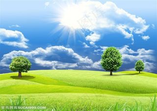 风景很好的高尔夫球场