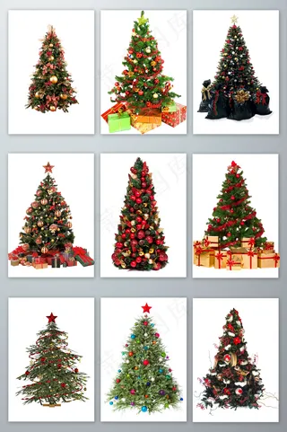 圣诞树实拍免抠素材