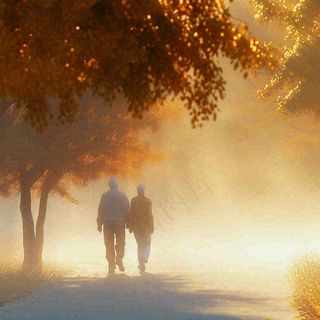 父母年长老人父亲节母亲节温馨落日背影