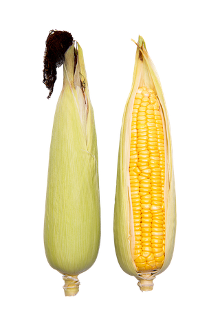 玉米 (28)超市商品白底图免抠实物摄影png格式图片透明底