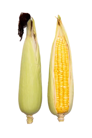 玉米 (28)超市商品白底图免抠实物摄影png格式图片透明底