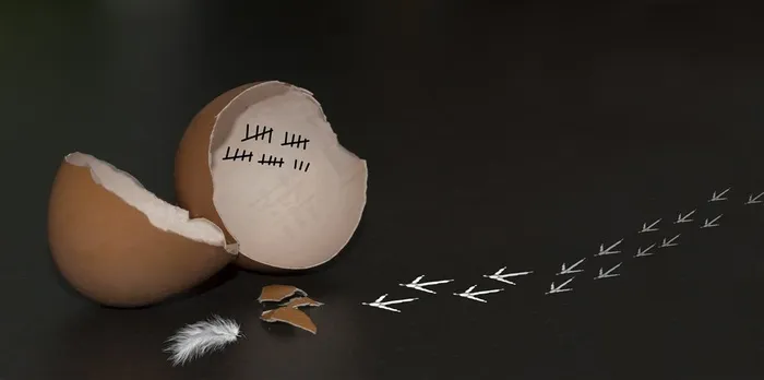 一颗富有创意和联想的鸡蛋壳