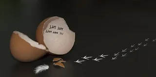 一颗富有创意和联想的鸡蛋壳