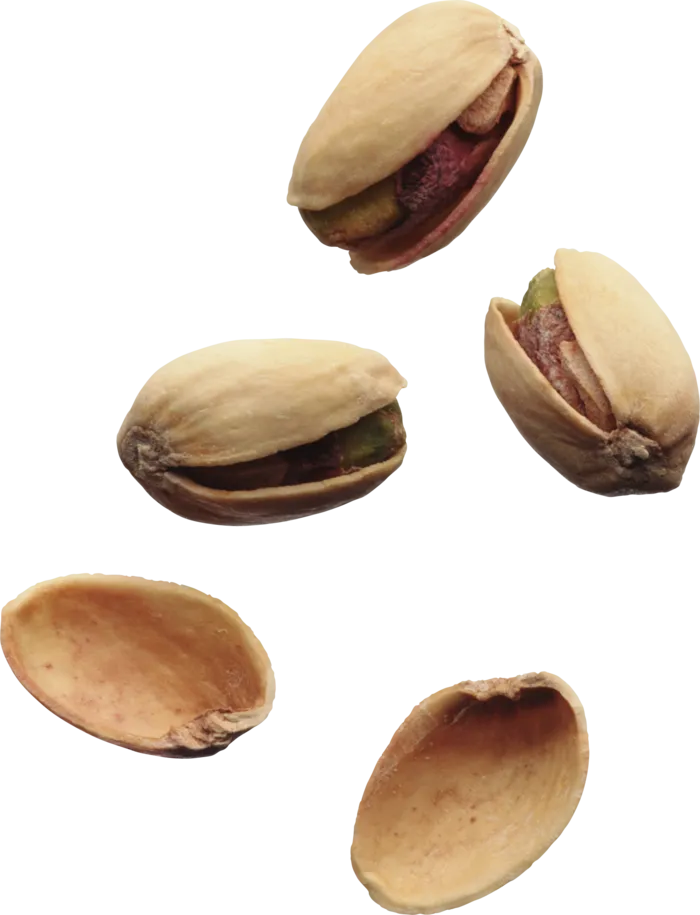 开心果实物免抠