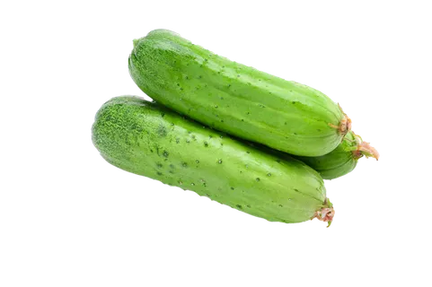 黄瓜 (3)超市商品白底图免抠实物摄影png格式图片透明底