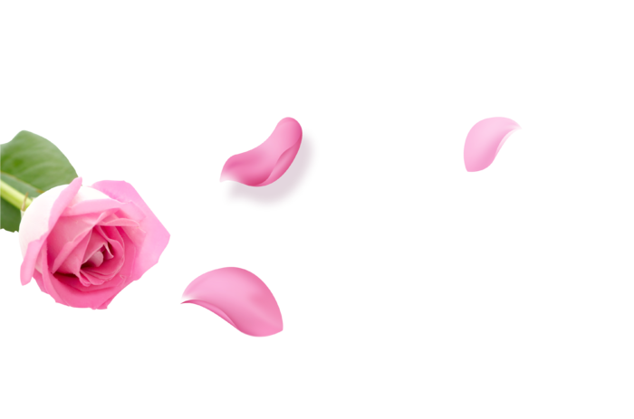 鲜花玫瑰免扣素材
