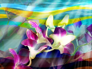 图片设计素材背景鸟语花香