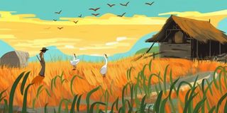 秋季农田丰收金黄背景