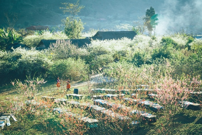 山蓝天梅花霜农村背景墙
