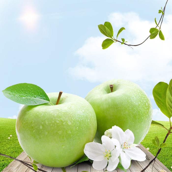 绿色叶子木板风景PSD素材