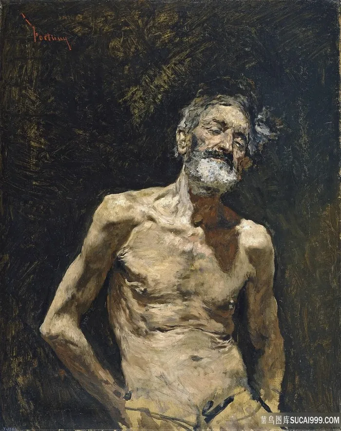 马里亚诺，裸体在阳光下的老人油画
