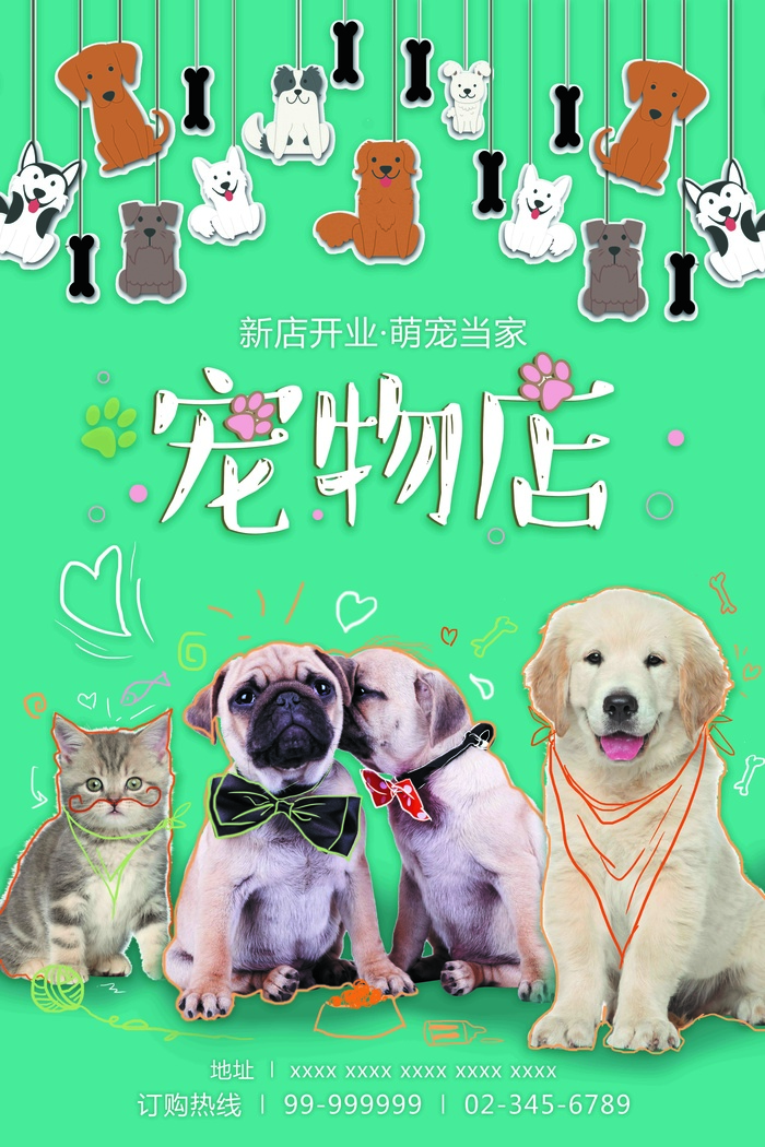 宠物平面广告psd模版下载