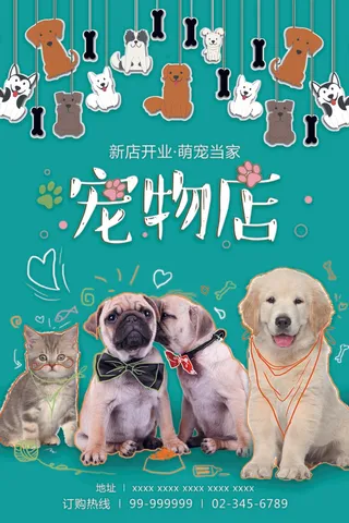 宠物平面广告