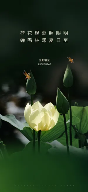 简约小暑节气海报
