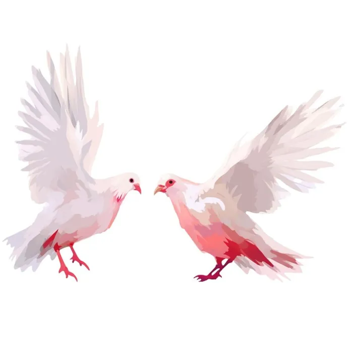 白鸽鸟类元素(1024x1024)