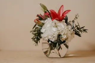 水培花卉图片欣赏