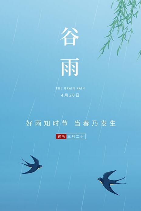 24节气谷雨海报psd模版下载