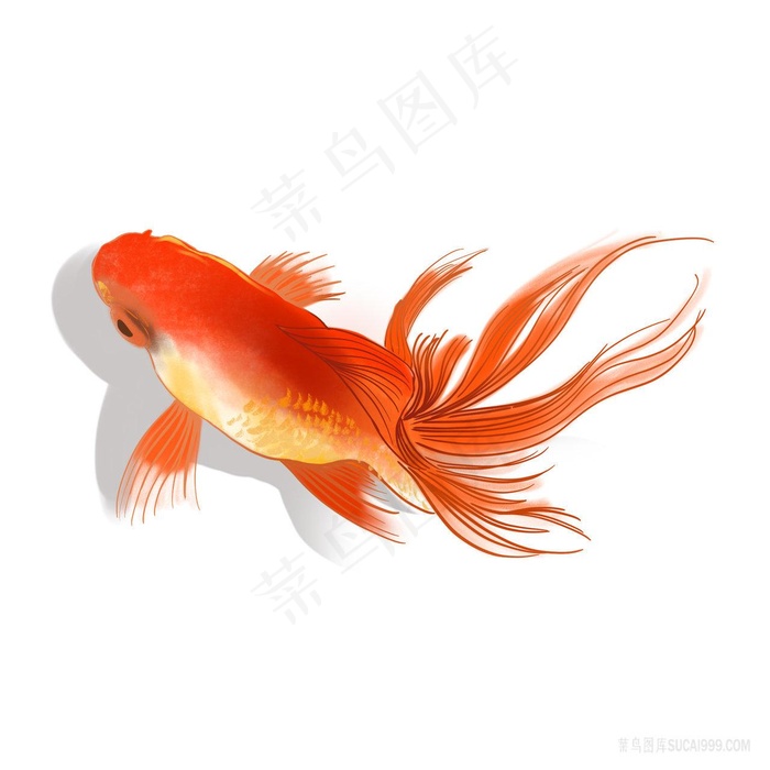 立体手绘卡通锦鲤png图片